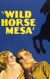 Wild Horse Mesa