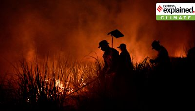 Why rising Arctic wildfires are a bad news for the world