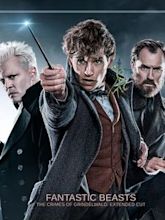 Fantastic Beasts: The Crimes of Grindelwald