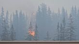 Jasper town fires extinguished, Canadian officials defend forest management practices