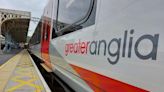 Trains cancelled after tree hits overhead lines