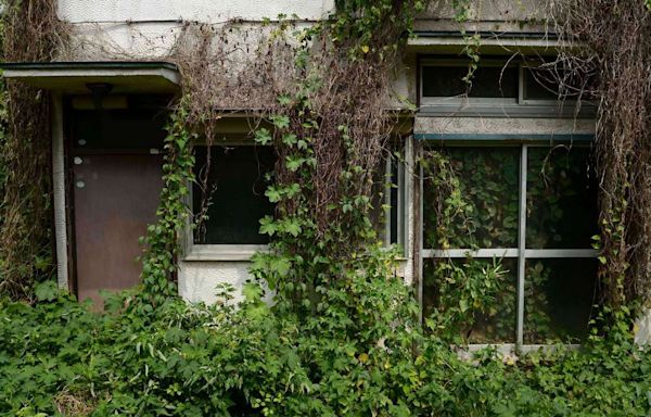 Super-aged Japan now has 9 million vacant homes. And that's a problem