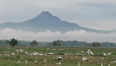 Environment Group Wary As Proposed Village ‘sits’ In South Cotabato Protected Landscape