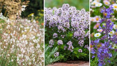 The most desirable soil type for a thriving garden