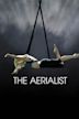 The Aerialist