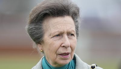 Princess Royal: What is concussion and how is it treated?