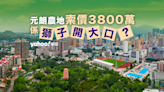 元朗農地索價3800萬 係獅子開大口？