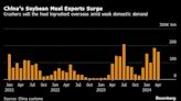 China Turns to Exporting Livestock Feed on Weak Domestic Demand