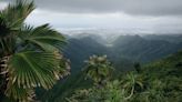 "I chose the trail off Google Maps" – hiker who fell 1,000ft in Hawaii shares the lessons he learned