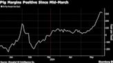 China’s Hog Farmers Enjoy Surge in Profits But Demand Is Still a Problem