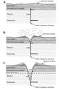 Country rock (geology)