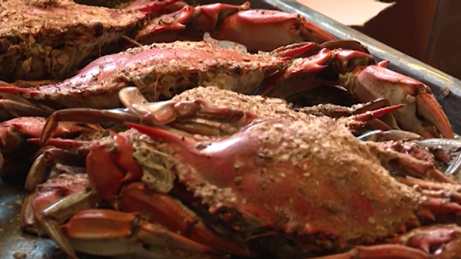 What to expect for crab season in Maryland