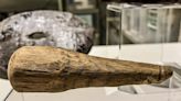 A 2,000-year-old phallic wooden 'darning tool' may have been an ancient Roman dildo, archaeologists admit