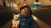 Paddington 3 Release Date Rumors: When Is It Coming Out?