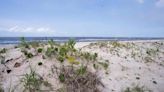 These Are the 10 Best Beaches in Louisiana