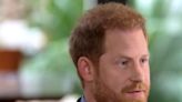 Prince Harry praises Dutch and Norwegian royal families for standing against racism: ‘It is huge’