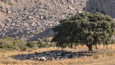 Últimos días para votar en el concurso de Fotografía Medioambiental de la Universidad de Málaga