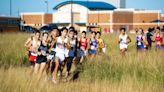 High school cross country: District meet results