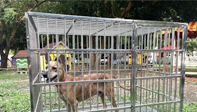 台南推廣「府城傳家警衛犬」！認養工作犬送好禮 - 寶島