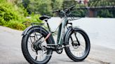 Roll Over Anything and Everything With One of These Best Fat Tire E-Bikes