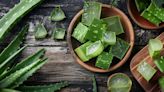 ¿Es el aloe vera la clave para una piel perfecta? Esto es lo que dice la ciencia