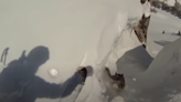 Brave Husky Drops Into Corbet's Couloir