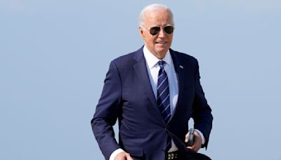 Grupo de demócratas cuestiona designación expedita de Biden como candidato