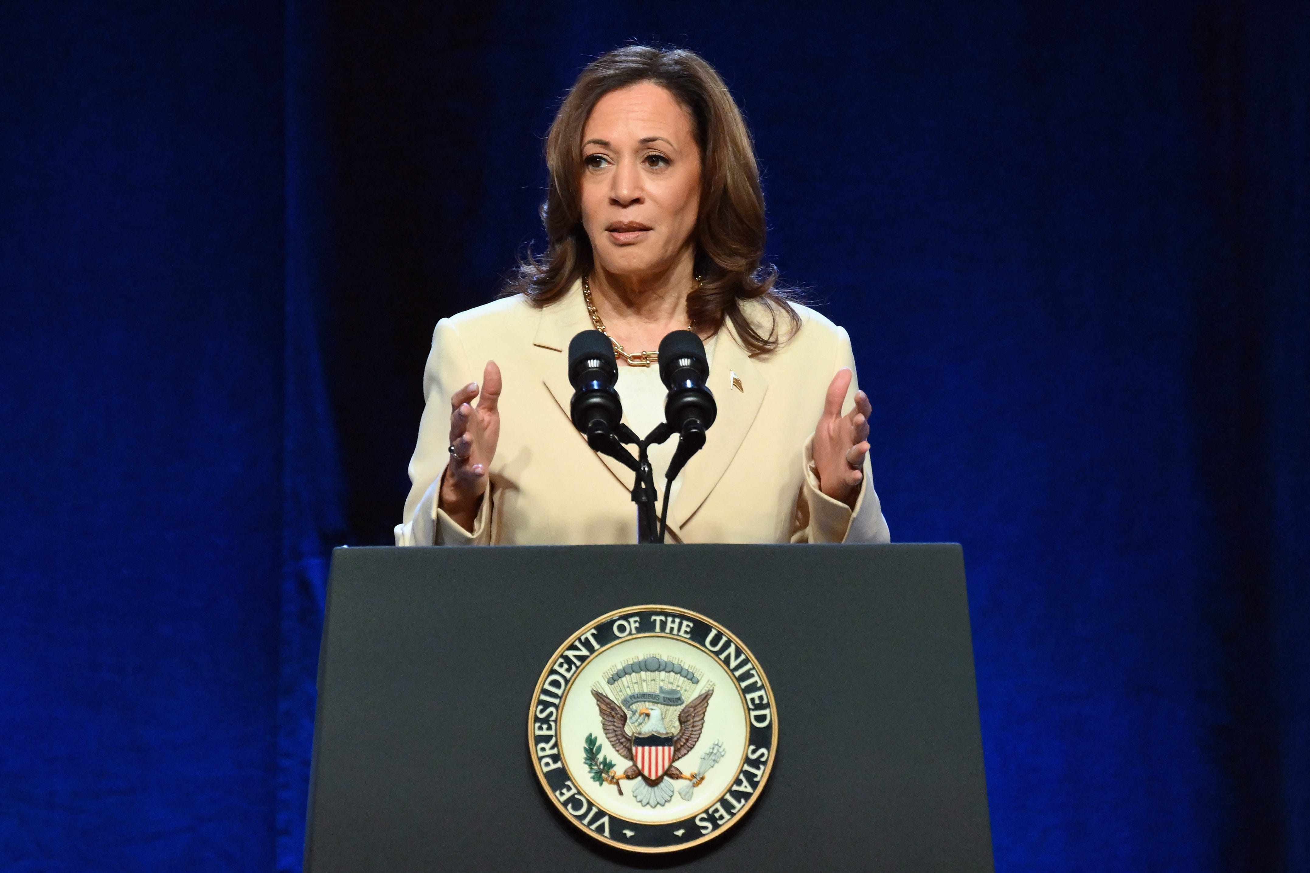 Kamala Harris is right: Black women in the US have the highest maternal mortality rate