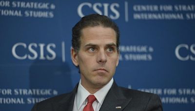 ... On US Vs. Rahimi Could Pave Way For Hunter Biden's Legal Defense: 'I Would Certainly Think That He...