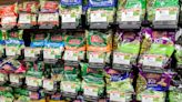 Lettuce and Salad Kits Recalled Over Bacteria Contamination Concerns