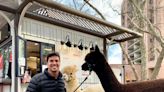 Alpacas to spice up happy hour outside HQ2 | ARLnow.com