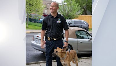 Hudson City police welcomes new therapy canine