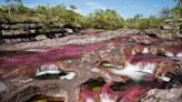 Definen la fecha en la que los visitantes podrán disfrutar de Caño Cristales en 2024: el río más lindo del mundo