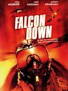 Falcon Down