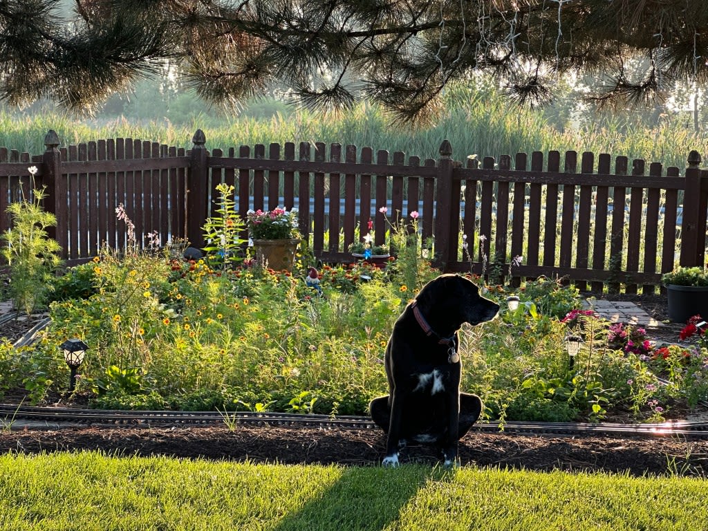 Vickroy: In the world of gardening, what you don’t kill — and doesn’t kill you — will bloom