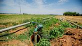 Asaja denuncia una "oleada de robos" en el campo