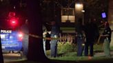 2 young children, 2 teens shot amid fight at Detroit park