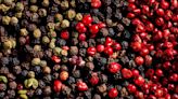 Where Does Black Pepper Come From? A Guide to Peppercorns and How to Use Them