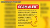 Daleville officials warn people of monkey scam