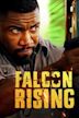 El regreso de Falcon