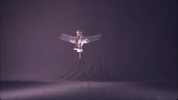 Watch A Tiny Flying Robot Inspired By Rhinoceros Beetles Flap Its Wings And Take Off
