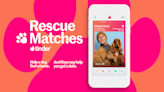 Tinder finds a better use by adding adoptable dogs to its app in celebration of National Dog Week