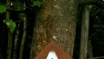 Fishhooks stuffed into dog treats found along Pa. section of Appalachian Trail