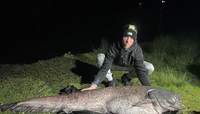 'It was a monster': Record-breaking 143-pound catfish reeled in at UK lake