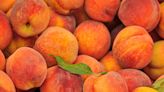 Are We Watching The Extinction Of Georgia Peaches Unfold?