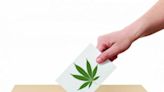 Which Of These Five States Will Make History On Tuesday? Midterm Elections Guide To Cannabis Legalization