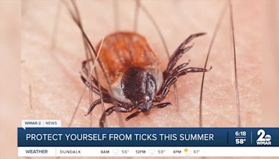 Health officials and advocates are raising awareness about Lyme Disease