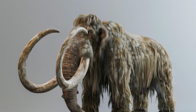 De-Extinction Breakthrough: Unveiling the Woolly Mammoth Genome With Groundbreaking DNA Technology