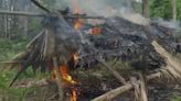 Documental muestra cómo la ganadería ilegal está destruyendo una reserva natural en Nicaragua