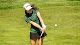 'Just a phenomenal day': Wachusett's top four average 81 en route to Central Mass. girls' golf championship